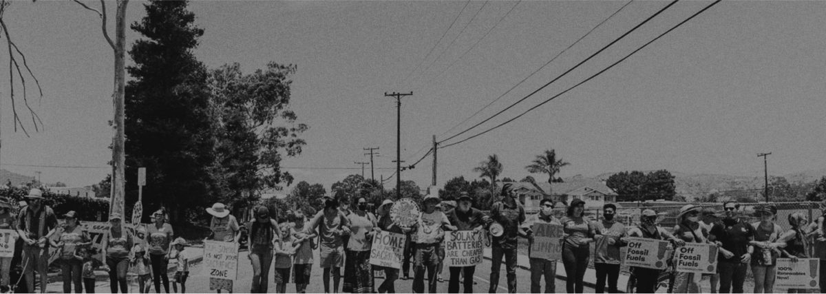 A crowd of protestors gather in front of a clear sky and telephone lines.