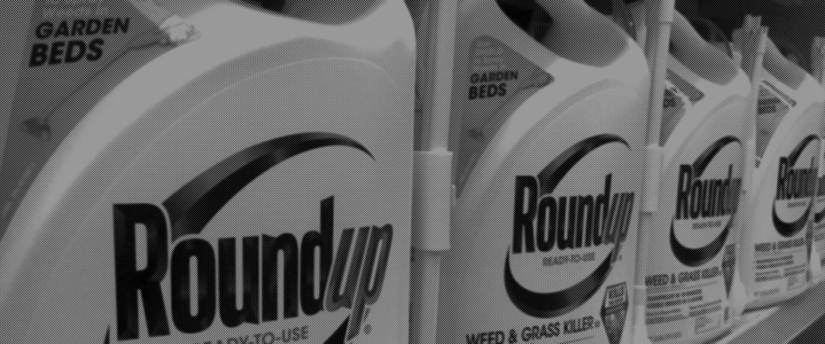 A line of bottles of Roundup weedkiller.