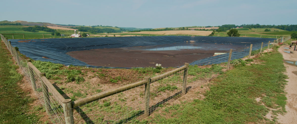An open manure lagoon sites behind a wooden fence.