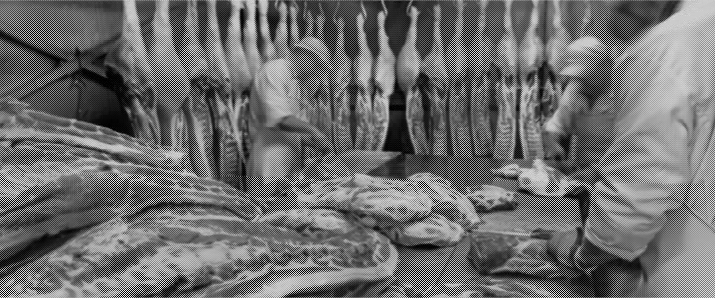 We are Fighting the Trump USDA’s Reckless Slaughterhouse Rules