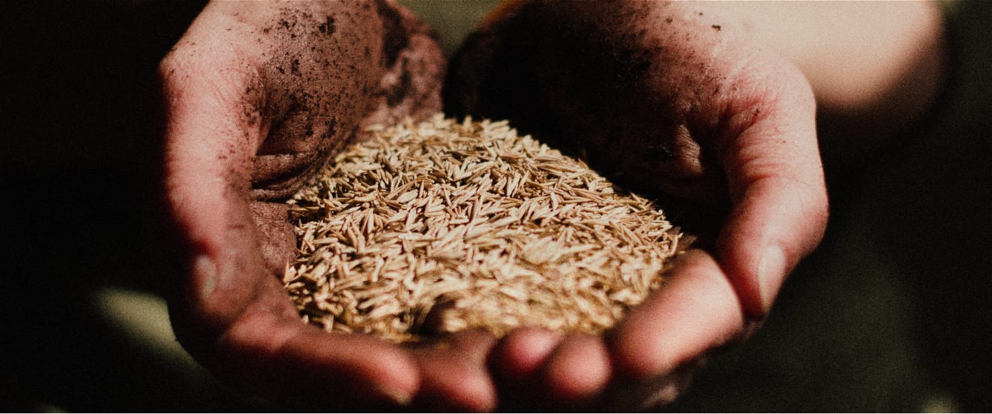 As Iran War Escalates, New Research Highlights the Grain Corporations Cashing in on Global Insecurity