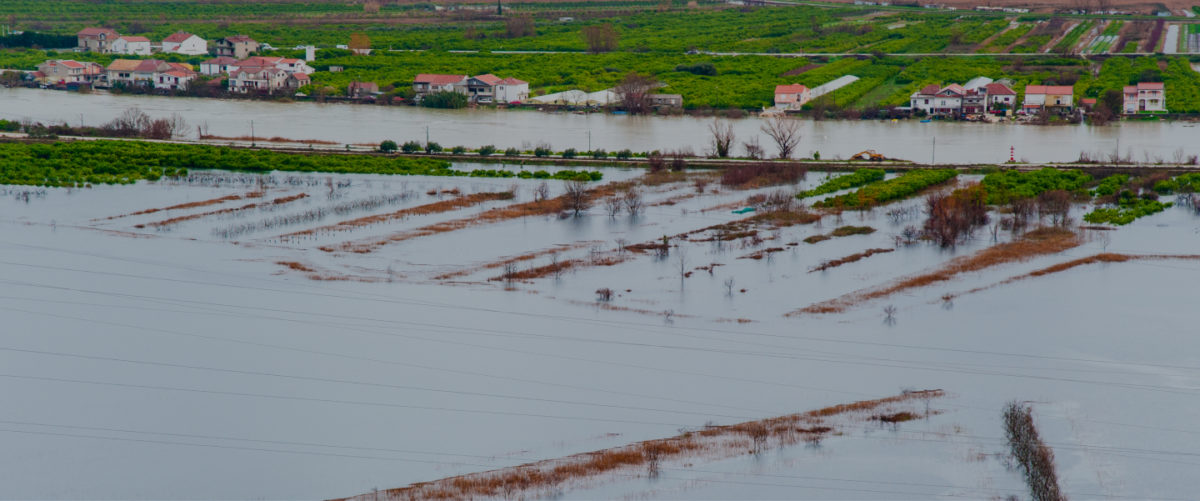 How Biogas Factories Could Put The Lowest State Underwater