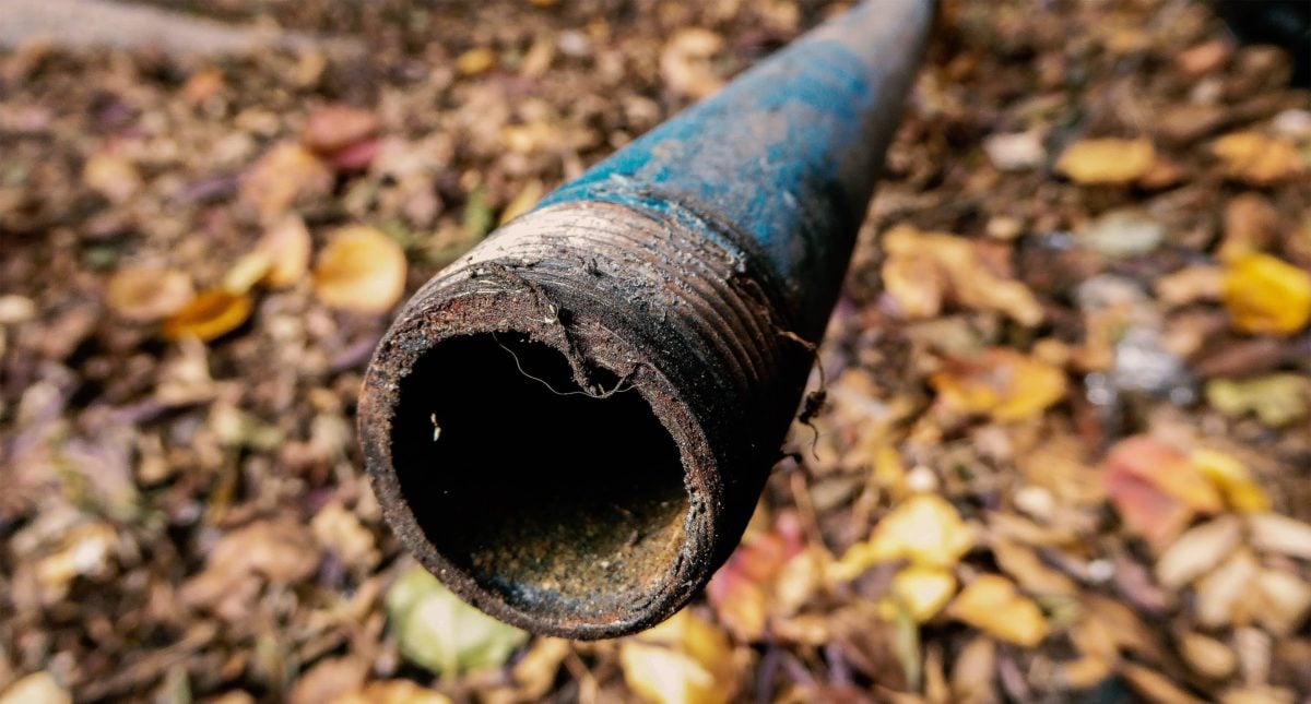 A blue pipe lays on a bed of brown leaves