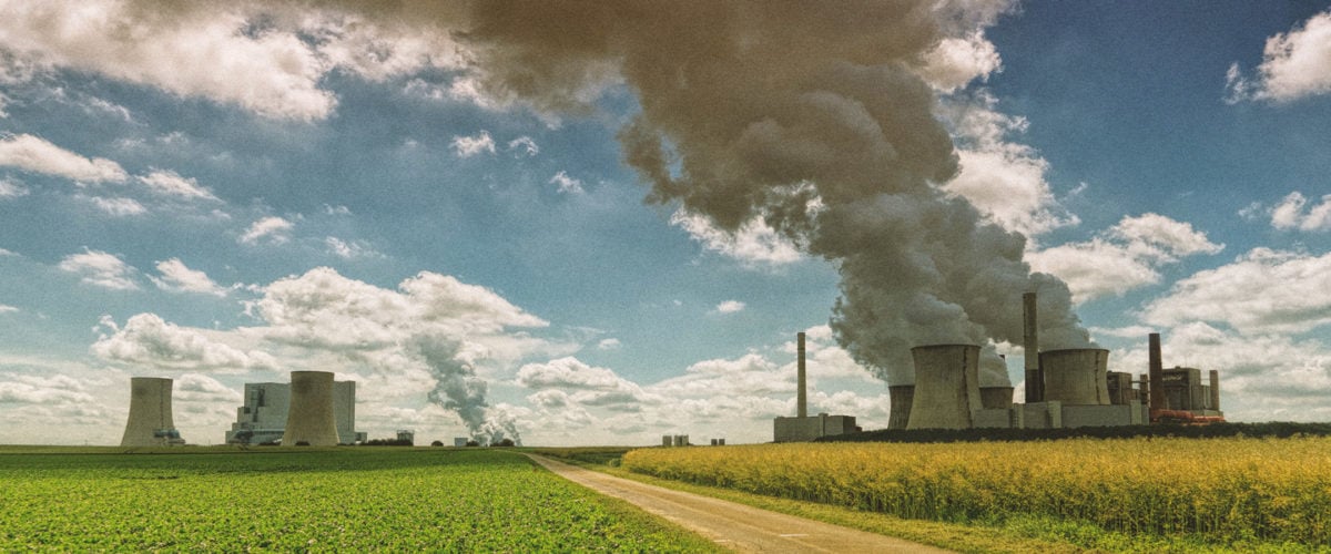 A cornfield sits in front of smoke stacks.