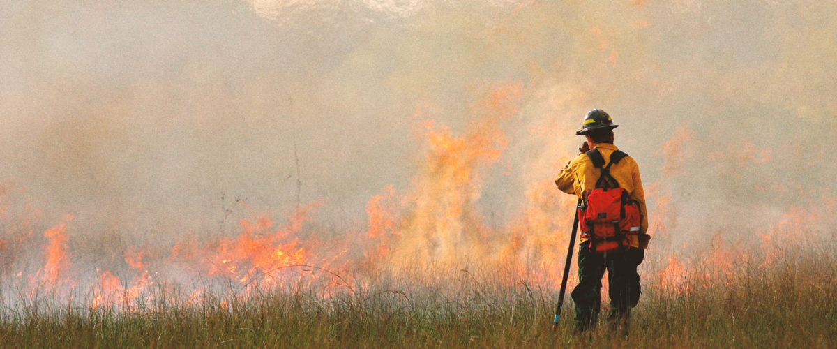 A firefighter stands in front of a field of flames.
