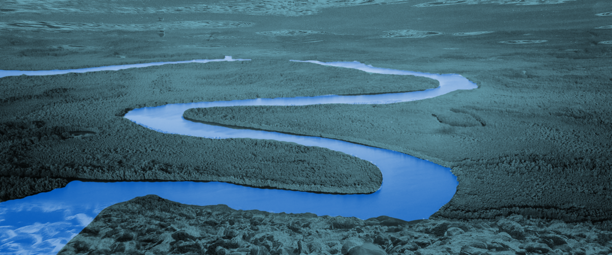 A blue river winds through trees, toward the horizon.
