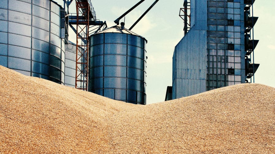 Color photo of grainery complex and huge mounds of harvested grains. 