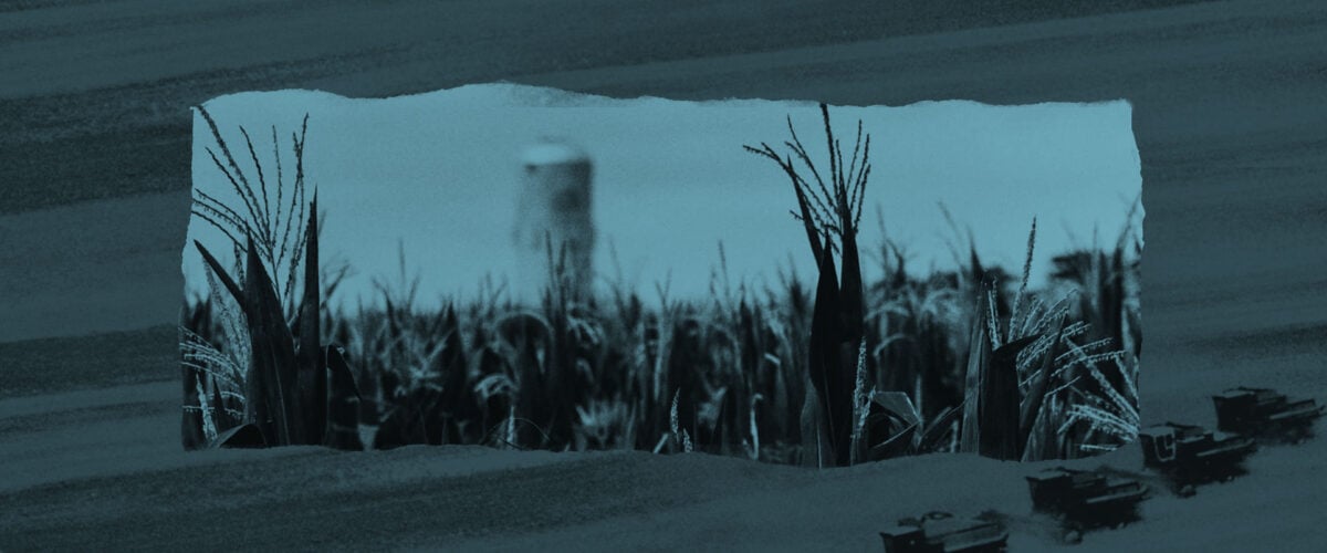 Corn fields with a silver corn silo rising in the distance.