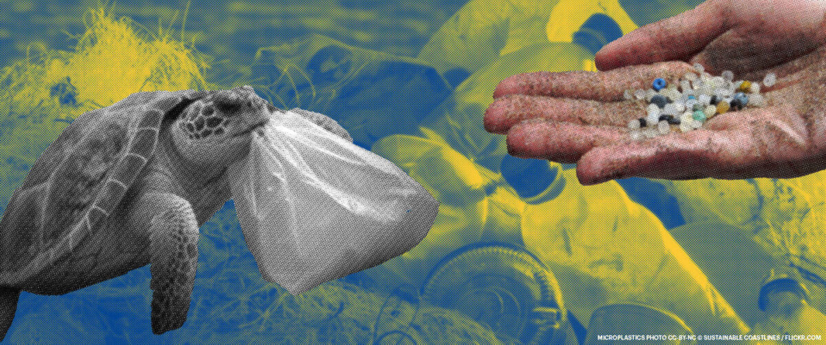 On the left, a turtle holds a plastic bag in its mouth. On the right, an outstretched hand holds tiny pieces of plastic trash.