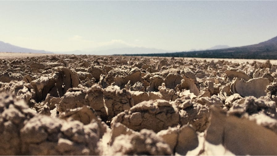 Big Ag Fuels New Mexico's Water Crisis