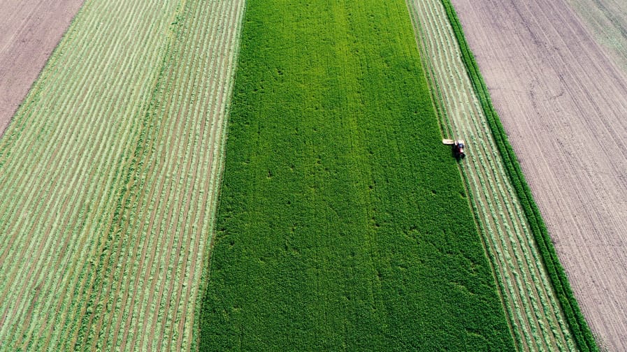 Arial view of a farmer harvesting a green field of alfalfa. Big Ag Is Draining The Colorado River Dry