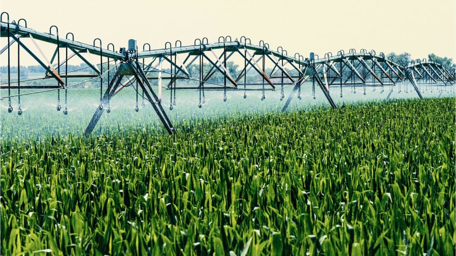 PFAS in Our Food and Water [a color photo of a farm crop being irrigated with a yellowish sky in the background.]