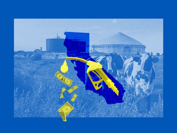 A gas pump nozzle drips cash in front of a background of cows in a field.
