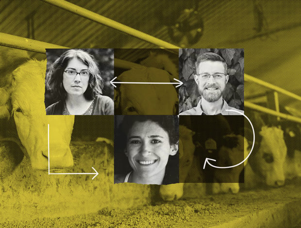 Headshots of our legal team--Tarah, Emily, and Tyler--in front of a photo of cattle in a factory farm.