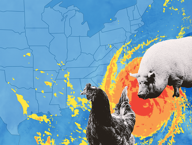 Factory Farm Pollution, Hurricanes, and Climate Change