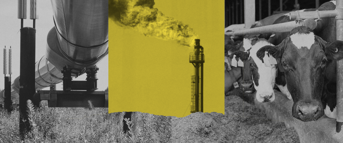 A tower leaks a plume of methane. To the left; a pipeline for fracking gas. To the right; two cows in a factory farm.