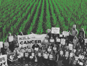 More than 150 Iowans gather holding signs that read "Kill the Cancer Gag Act!" With rows of planting behind them.