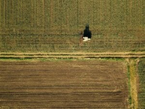 Tractor cultivating corn crop field, aerial view from drone pov