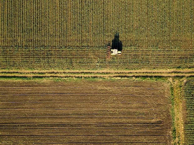 Tractor cultivating corn crop field, aerial view from drone pov