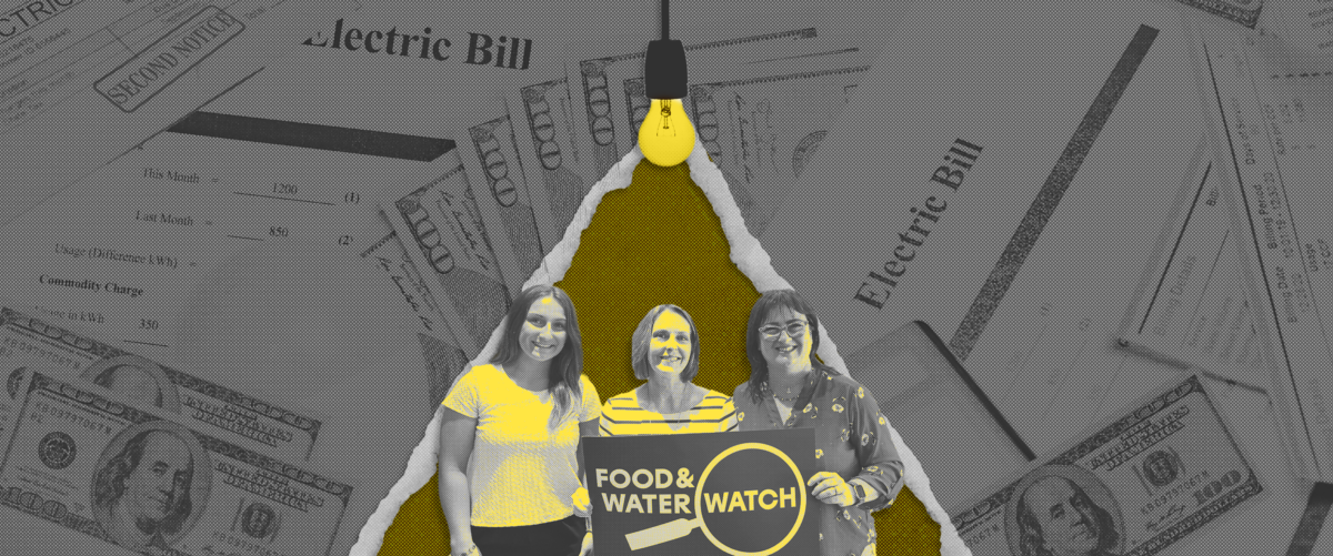 Isabella, Rep. Kathy Castor, and Senior Florida organizer Brooke Ward stand together under a light bulb's spotlight with a background of paper electricity bills.