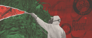 A person sprays pesticides on crops. but instead of a spray of chemicals, it's cash.