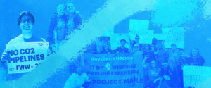 Collage of interns posing with signs, volunteers, allies.