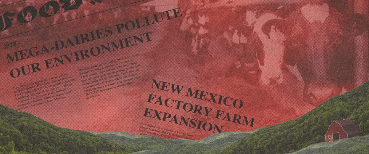 CTFP: More Factory Farms, More Pollution in New Mexico