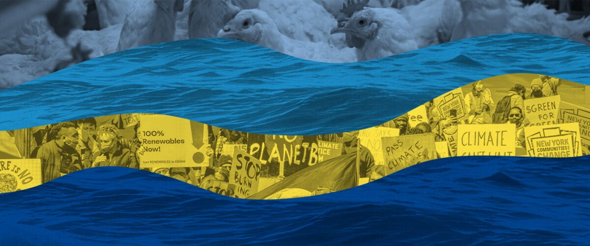 Numbers Don’t Lie — Your Generosity Drove Progress Against Steep Odds