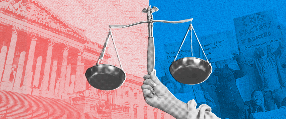 A set of scales between a courthouse on the left and protestors holding "factory farm moratorium now!" signs on the right.