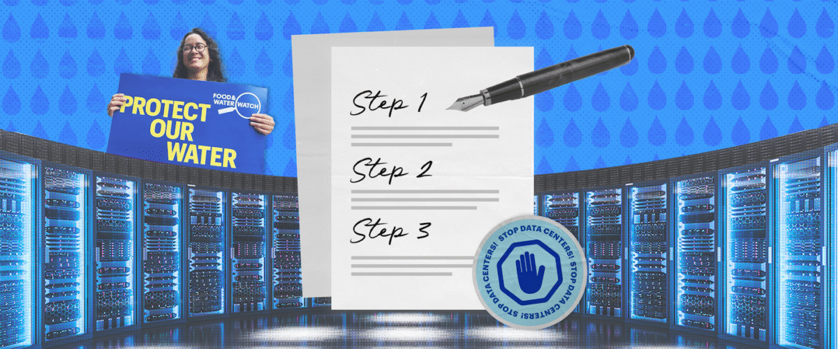 How to Fight a Data Center