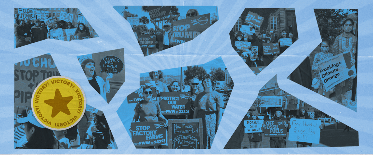 A collage of photos of people at rallies and protests.