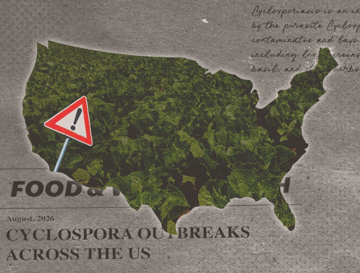 A silhouette of the United States filled with lettuce leaves