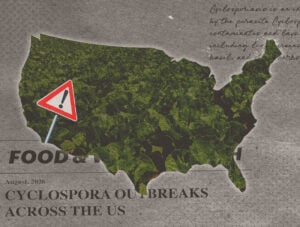 A silhouette of the United States filled with lettuce leaves